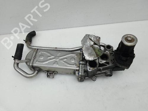 Egr SEAT IBIZA IV (6J5, 6P1)  | BP24052364M69 