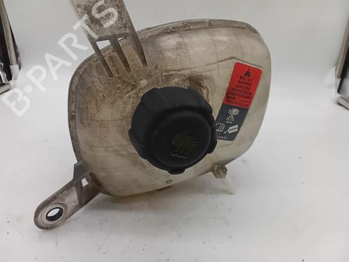 Expansion tank RENAULT AUSTRAL TCe 130 (HGM2) | BP29824463C120