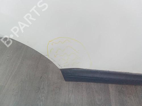 Right rear door NISSAN QASHQAI I (J10, NJ10) 1.6 dCi | BP20143875C5