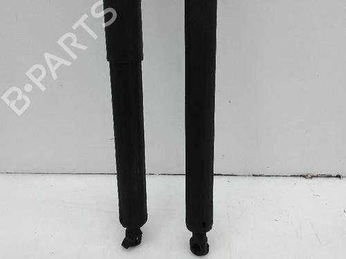 Gassdemper Bakluke BMW X1 (F48) sDrive 18 d (150 hp) 23257307