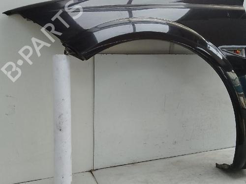 Left front fenders RENAULT MEGANE II Coupé-Cabriolet (EM0/1_) 1.9 dCi | BP26651692C41 