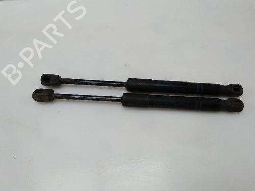 Hood lift support BMW 1 (F20)  | BP22921838C139 