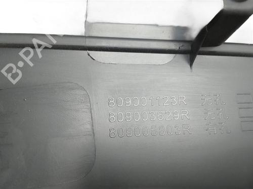 Front right panel DACIA SPRING Extreme | BP29995585C59 