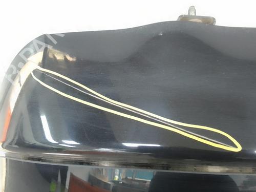 Tailgate NISSAN JUKE (F15) 1.5 dCi | BP29051039C6