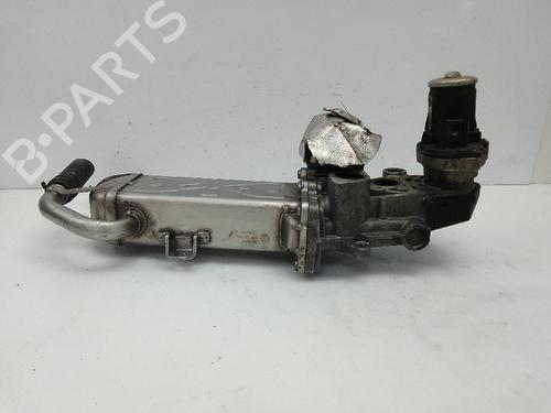 Egr SEAT IBIZA IV (6J5, 6P1)  | BP24052364M69 
