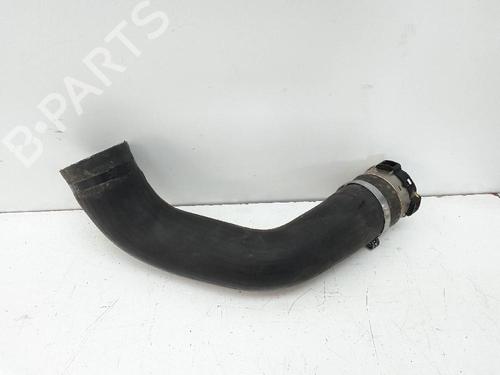 Pipe DACIA SANDERO II TCe 90 (B8M1, B8MA, B8AC) | BP18737499M125 