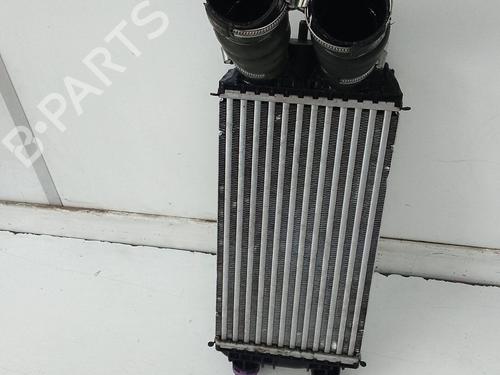 Used Intercooler Intercooler PEUGEOT 2008 II (UD_, US_, UY_, UJ_, UR_, UC_) 1.5 BlueHDI 110 (UDYHSK) (110 hp) 20932469 20932469