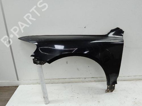 Left front fenders VW TOUAREG (7LA, 7L6, 7L7) 2.5 R5 TDI | BP25045566C41 