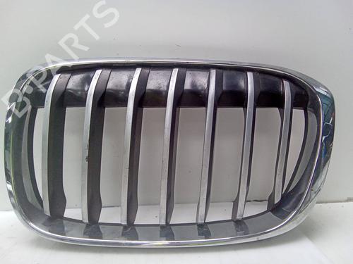 Used Grille BMW X1 (E84) [2009-2015]  26159291