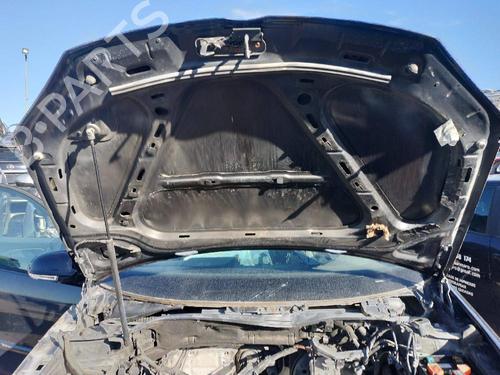Hood VW GOLF V (1K1) 1.9 TDI | BP18590201C1 