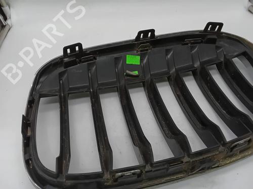 Grille BMW X1 (F48) sDrive 18 d | BP29764979C40 