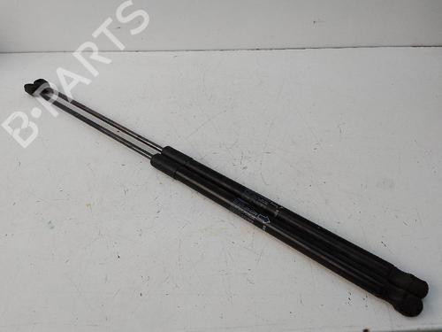 Used Tailgate lift support LAND ROVER RANGE ROVER EVOQUE (L538) 2.0 D 4x4 (241 hp) 19116758