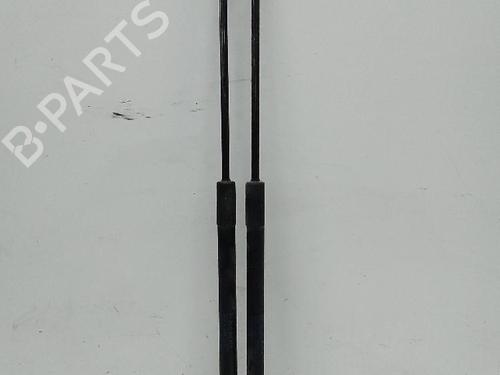 Tailgate lift support BMW X1 (E84)  | BP23452750C138 