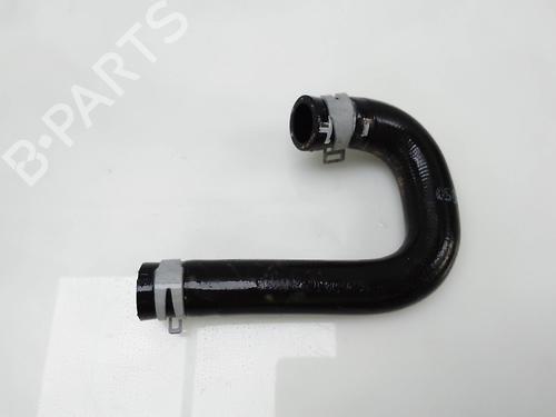 Pipe RENAULT AUSTRAL TCe 130 (HGM2) | BP28151148M125 