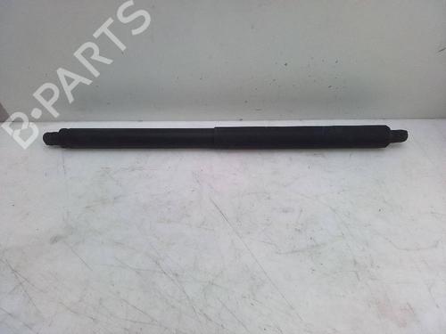 Gassdemper Bakluke BMW X5 (E70) 3.0 sd (286 hp) 18581362
