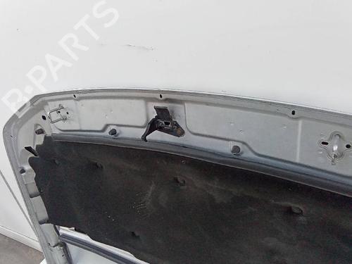 Hood LAND ROVER FREELANDER 2 (L359) 2.2 TD4 4x4 | BP20156392C1 