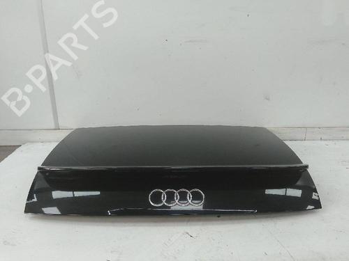 Tailgate AUDI TT (8N3)  | BP18583905C6 
