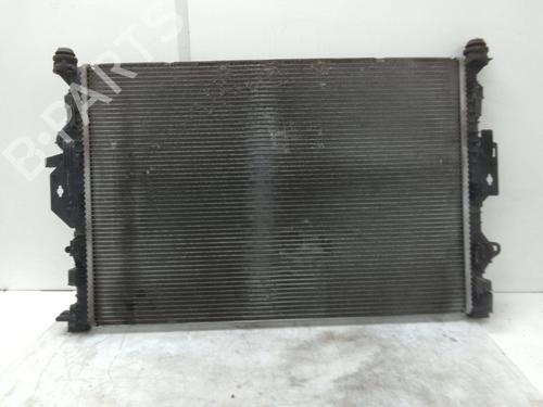 Used Water radiator Water radiator FORD S-MAX (WA6) 2.0 (145 hp) 19449350 19449350