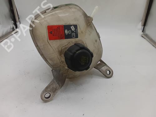 Expansion tank RENAULT AUSTRAL TCe 130 (HGM2) | BP29824463C120