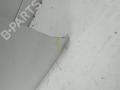 Left front door RENAULT SCÉNIC IV (J9_) 1.6 dCi 130 | BP21550047C2 