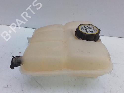 Expansion tank FORD FOCUS III  | BP24483936C120 