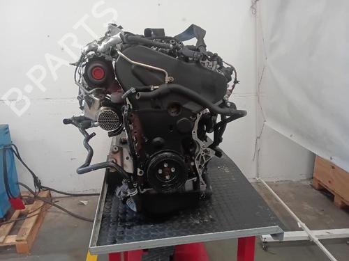 Engine VW GOLF VII (5G1, BQ1, BE1, BE2) 1.6 TDI | BP26172831M1
