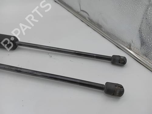 Tailgate lift support FORD TOURNEO COURIER B460 MPV 1.5 EcoBlue | BP29995387C138 