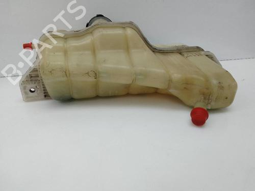 Used Expansion tank NISSAN JUKE (F15) 1.2 DIG-T (115 hp) 20853166