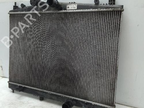 Water radiator NISSAN JUKE (F15)  | BP26050905M31 