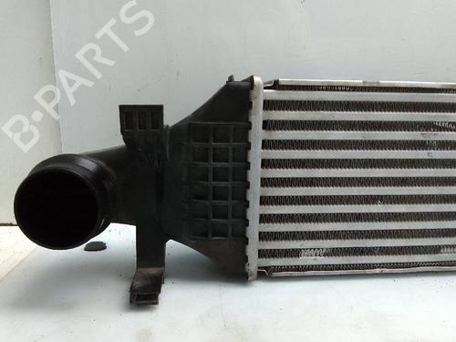 Intercooler MERCEDES-BENZ B-CLASS Sports Tourer (W246, W242) B 180 CDI (246.200) | BP25018858M30 