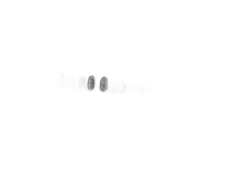 Rear parcel shelf RENAULT MODUS / GRAND MODUS (F/JP0_) 1.5 dCi (FP0F, JP0F) | BP39465719C85 - Image 7