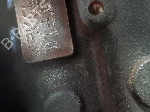 Engine RENAULT MEGANE IV Grandtour (K9A/M/N_) 1.5 dCi 110 | BP29584431M1 