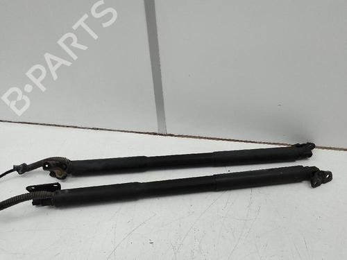 Tailgate lift support BMW 3 Touring (F31) 318 d | BP19028635C138