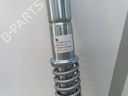 Tailgate lift support BMW 5 Touring (F11) 520 d xDrive | BP19733118C138 