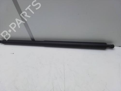 Tailgate lift support MERCEDES-BENZ V-CLASS (W447) V 220 CDI / d 4-matic (447.811, 447.813) | BP28148026C138 