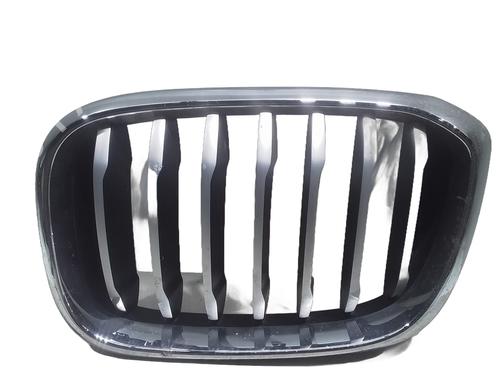 Rejilla BMW X3 (G01, F97, G08) sDrive 18 d (150 hp) 32020893