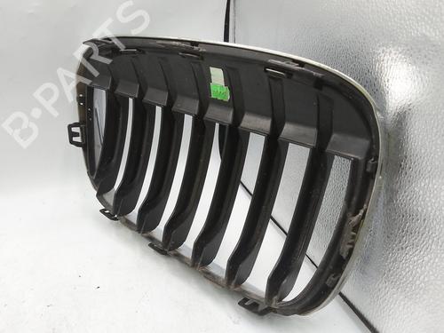 Grille BMW X1 (F48) sDrive 18 d | BP29764985C40 