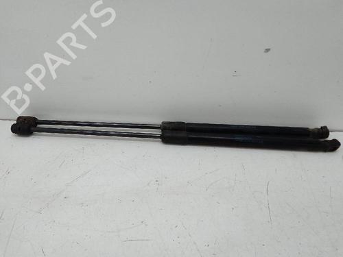 Hood lift support AUDI Q7 (4LB) 6.0 TDI quattro | BP18947472C139 