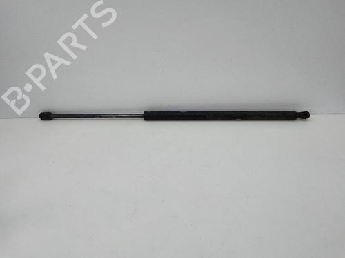 Tailgate lift support LAND ROVER RANGE ROVER SPORT I (L320) 3.0 D 4x4 | BP22686690C138 