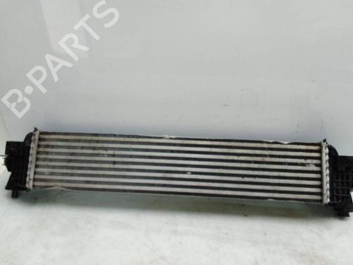 Intercooler MG MG HS (AS23) 1.5 T (SAS23) | BP25045693M30 