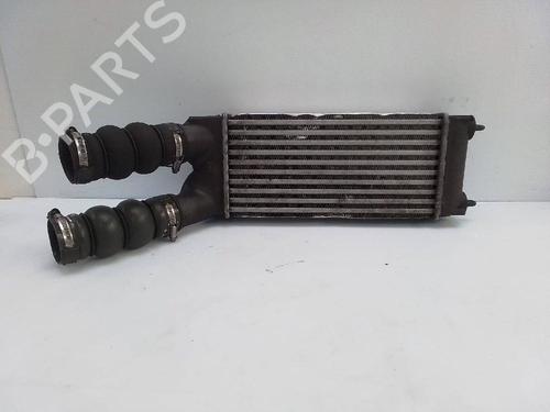 Intercooler PEUGEOT PARTNER Tepee 1.6 HDi 16V | BP21527060M30 