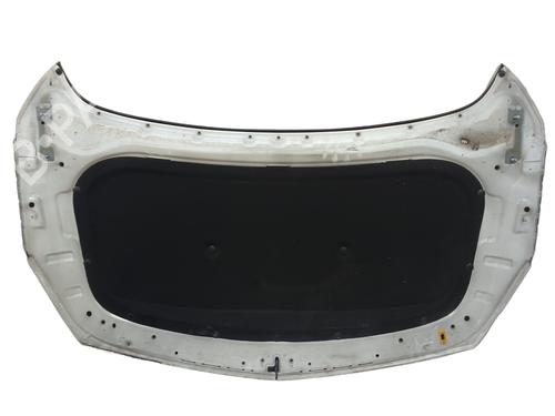 Hood FORD FIESTA VI (CB1, CCN) 1.4 TDCi | BP31308290C1 