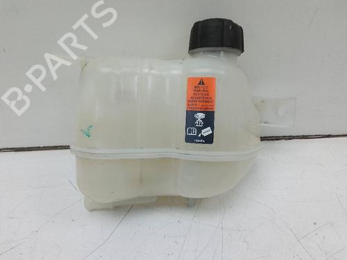 Used Expansion tank RENAULT KADJAR (HA_, HL_) 1.3 TCe 140 (HLNB, HLN1) (140 hp) 19311219