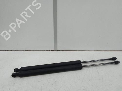 Tailgate lift support FORD TOURNEO COURIER B460 MPV 1.6 TDCi | BP19788280C138 