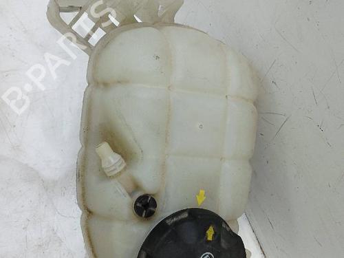 Expansion tank BMW 1 (F20) 120 d xDrive | BP25485396C120