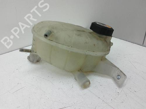 Expansion tank HYUNDAI IONIQ (AE) 1.6 GDI Hybrid | BP19105475C120 