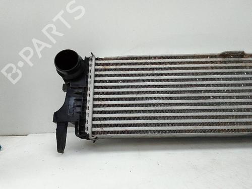 Used Intercooler MERCEDES-BENZ SPRINTER 3,5-t Van (B907, B910) 314 CDI (910.631, 910.633) (143 hp) 25135175