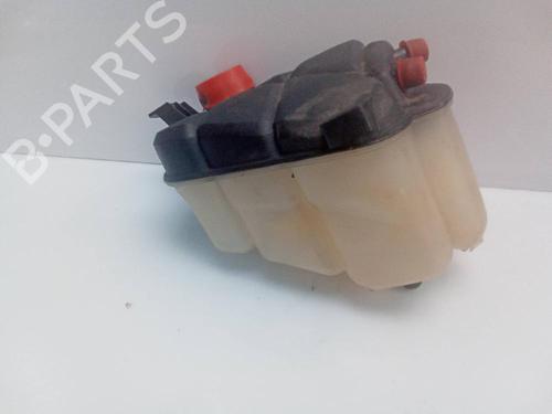 Expansion tank LAND ROVER RANGE ROVER EVOQUE (L538) 2.0 D | BP20504034C120 
