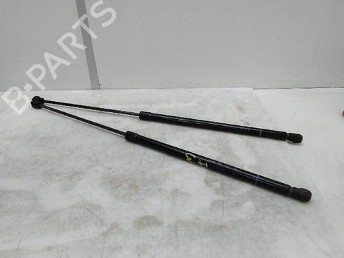 Tailgate lift support AUDI A3 Sportback (8YA, 8YF) 35 TDI | BP26054873C138 