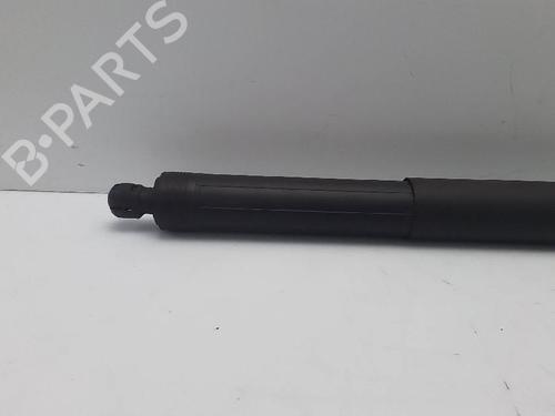 Tailgate lift support BMW X5 (F15, F85) xDrive 30 d | BP22617429C138